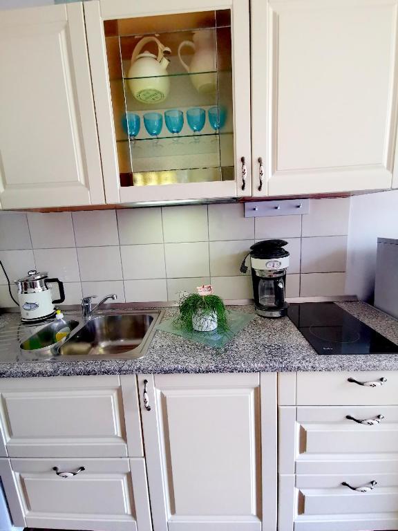A fully equipped kitchen is displayed, featuring cream-colored cabinets and a granite countertop. A sink and stovetop are visible, alongside a coffee machine and a kettle. Blue glassware is showcased in a cabinet above, with a decorative plant placed in the center for a clean look.