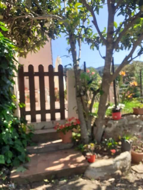 Airbnb con migliori performance: House in the countryside a Rio