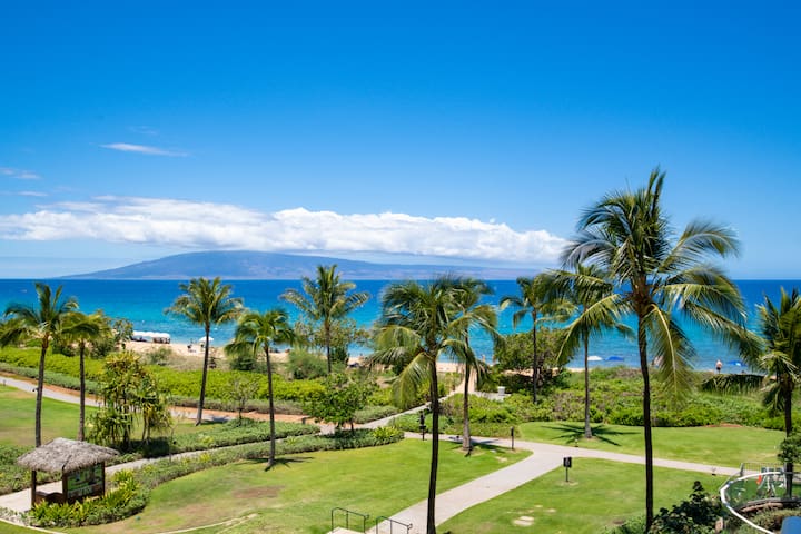 Spectacular Ocean View 3B/3B