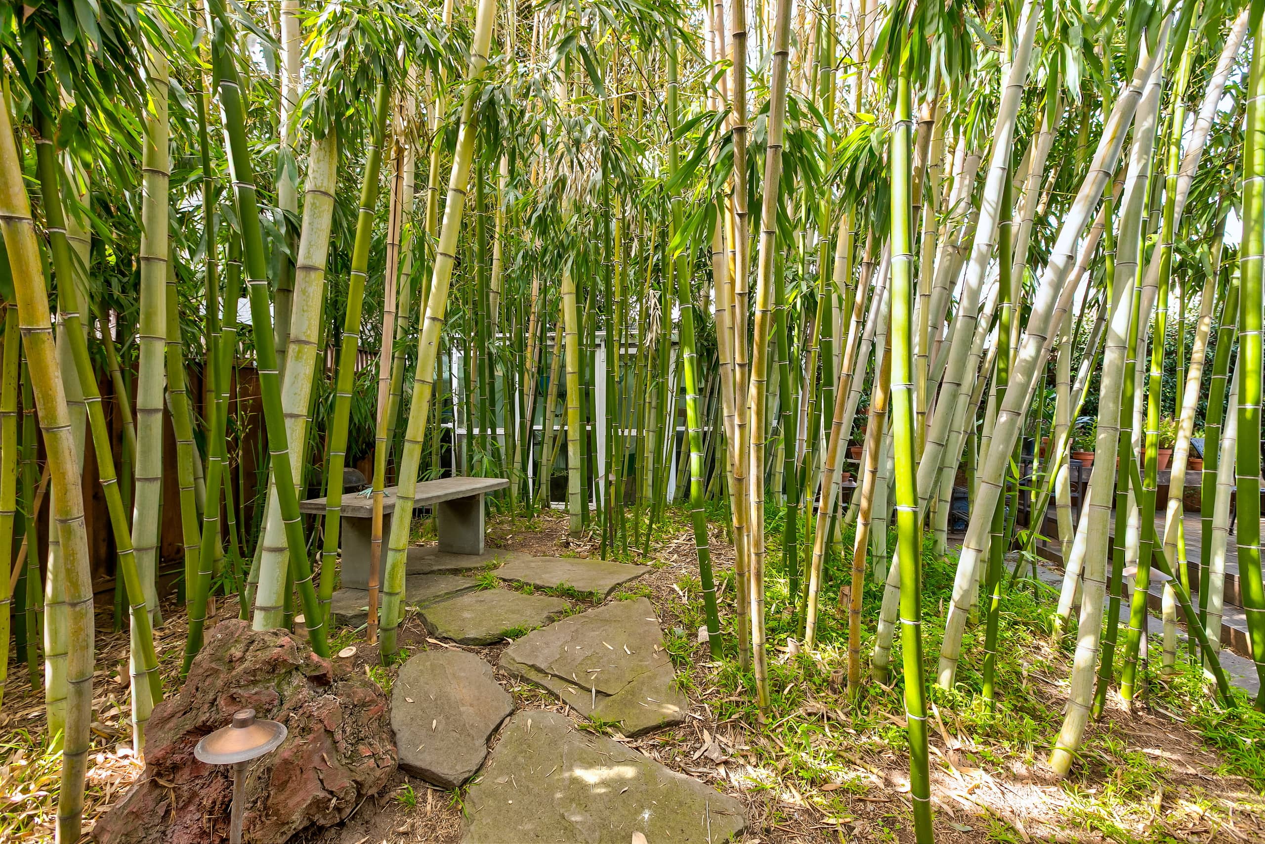 Garden Retreat Steps from Santana Row - Photo 31