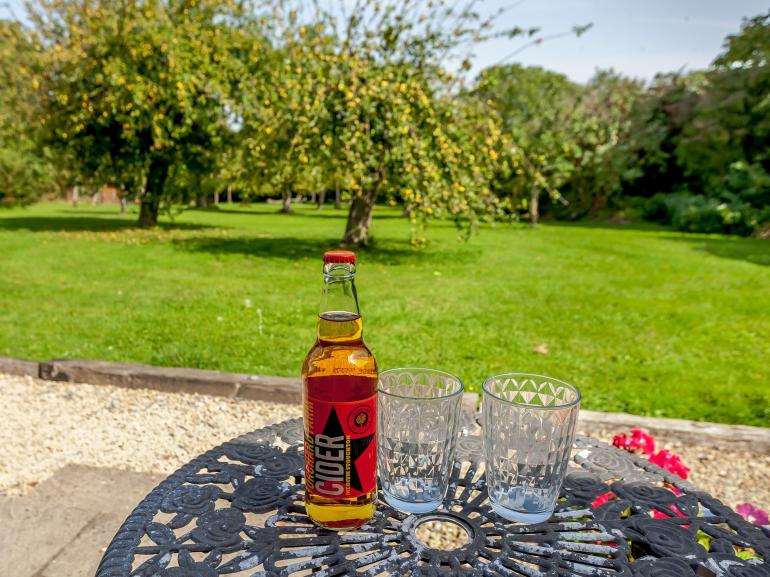A bottle of cider is placed on a round table accompanied by two clear glasses. The background features a lush green orchard with trees, creating a serene outdoor setting.