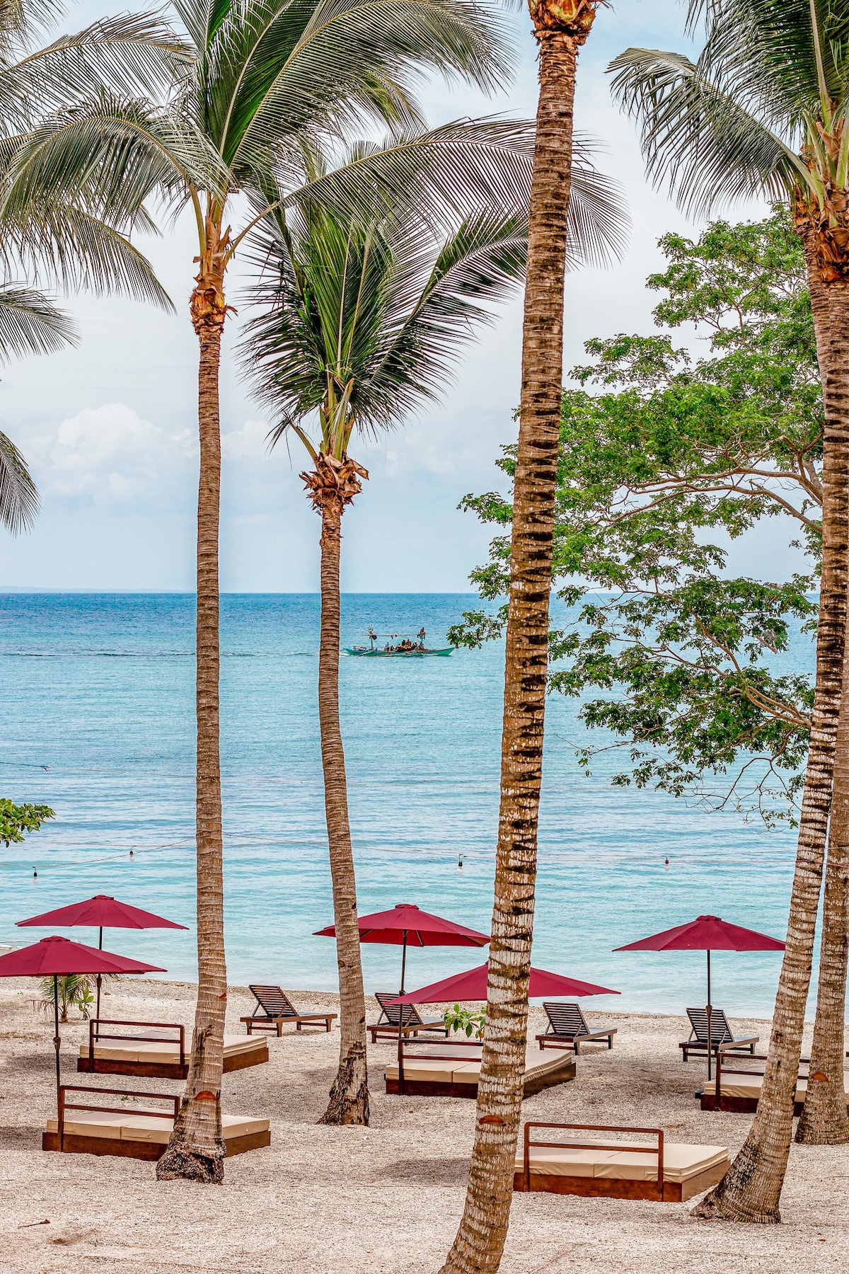 A beach area is presented with several lounge chairs and umbrellas arranged under palm trees. The calm ocean stretches out in the background, with gentle waves lapping at the sandy shore. A few distant figures can be seen enjoying the water.