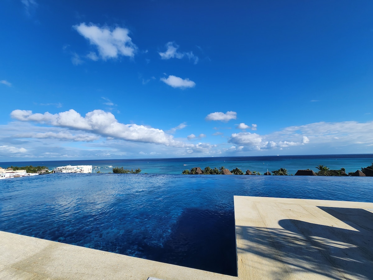 An expansive infinity pool reflects the clear blue sky and ocean beyond. The shoreline and distant landscape are visible, framed by tropical plants, creating a serene atmosphere for relaxation.