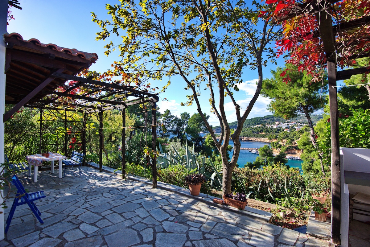 A spacious terrace surrounded by greenery offers a scenic view of the port and clear water. A stone pathway leads to a table and chairs shaded by a pergola. Potted plants and trees add to the tranquil ambiance.