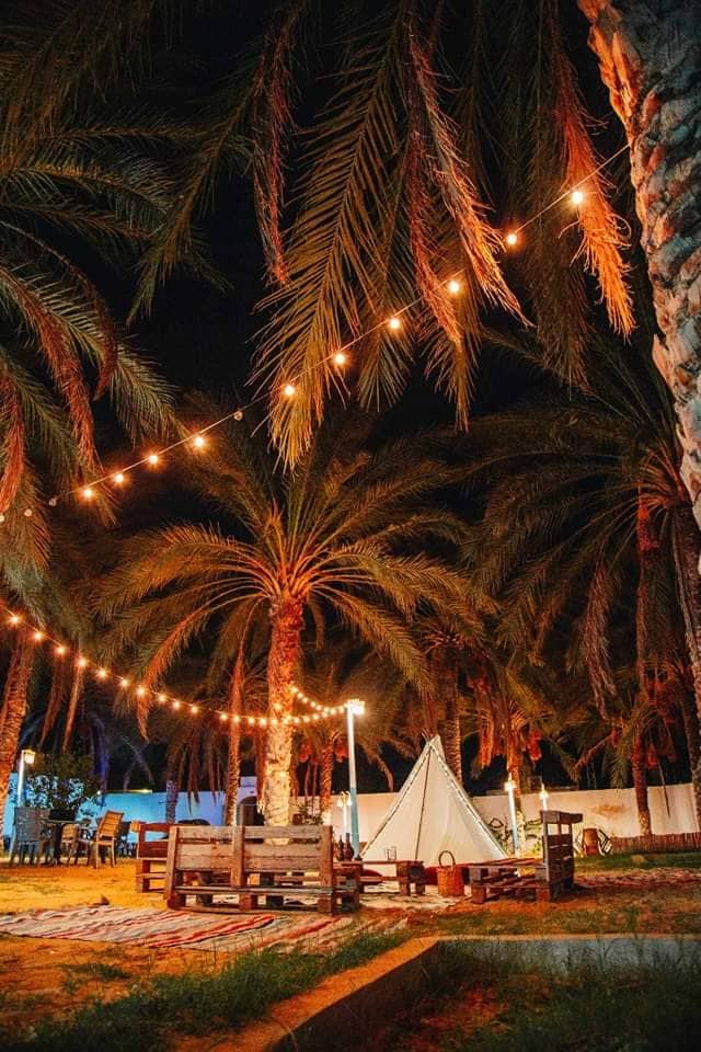 Tall palm trees are surrounded by softly glowing string lights, creating a warm ambiance in the outdoor area. A white tent is set on the sandy ground, accompanied by rustic wooden seating and a patterned rug, inviting guests to relax in a serene yet vibrant setting.
