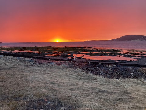 Cottage # 7, Rising Tide