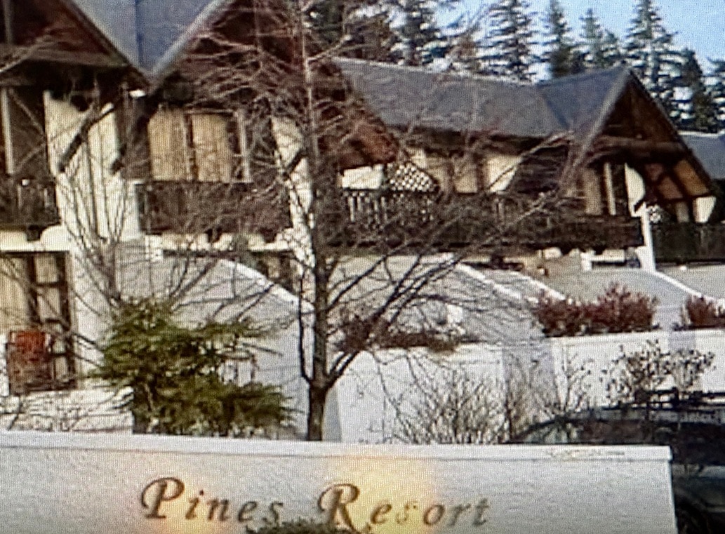 Pines Resort Apartments for Rent in Wānaka, Otago, New Zealand Airbnb