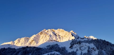 Top performing Airbnb: Cozy apartment in a chalet in La Giettaz