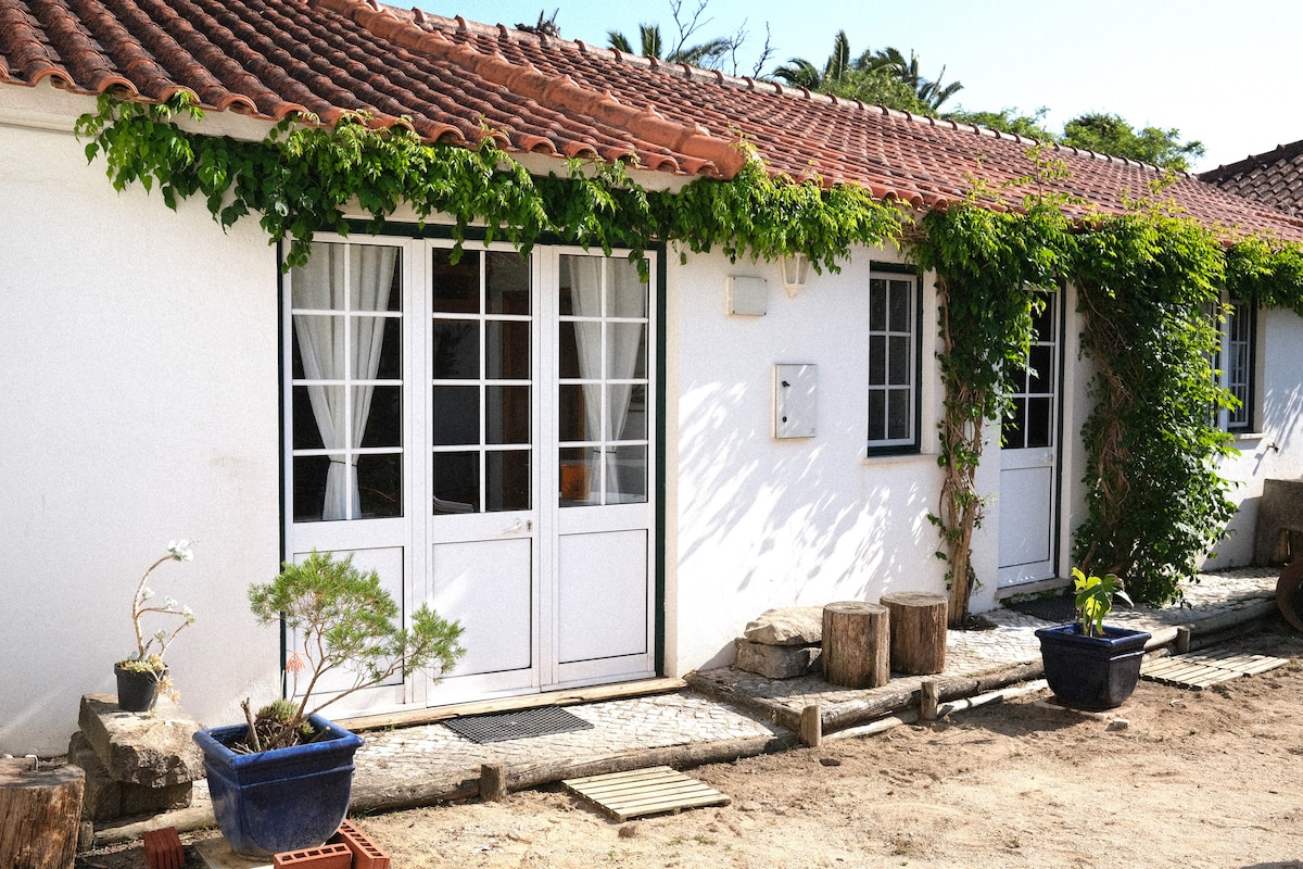 The exterior of the building features a charming entrance with double French doors framed by climbing greenery. Potted plants add a touch of nature, while stone steps lead to a pathway lined with wooden logs. A tiled area complements the rustic aesthetic.