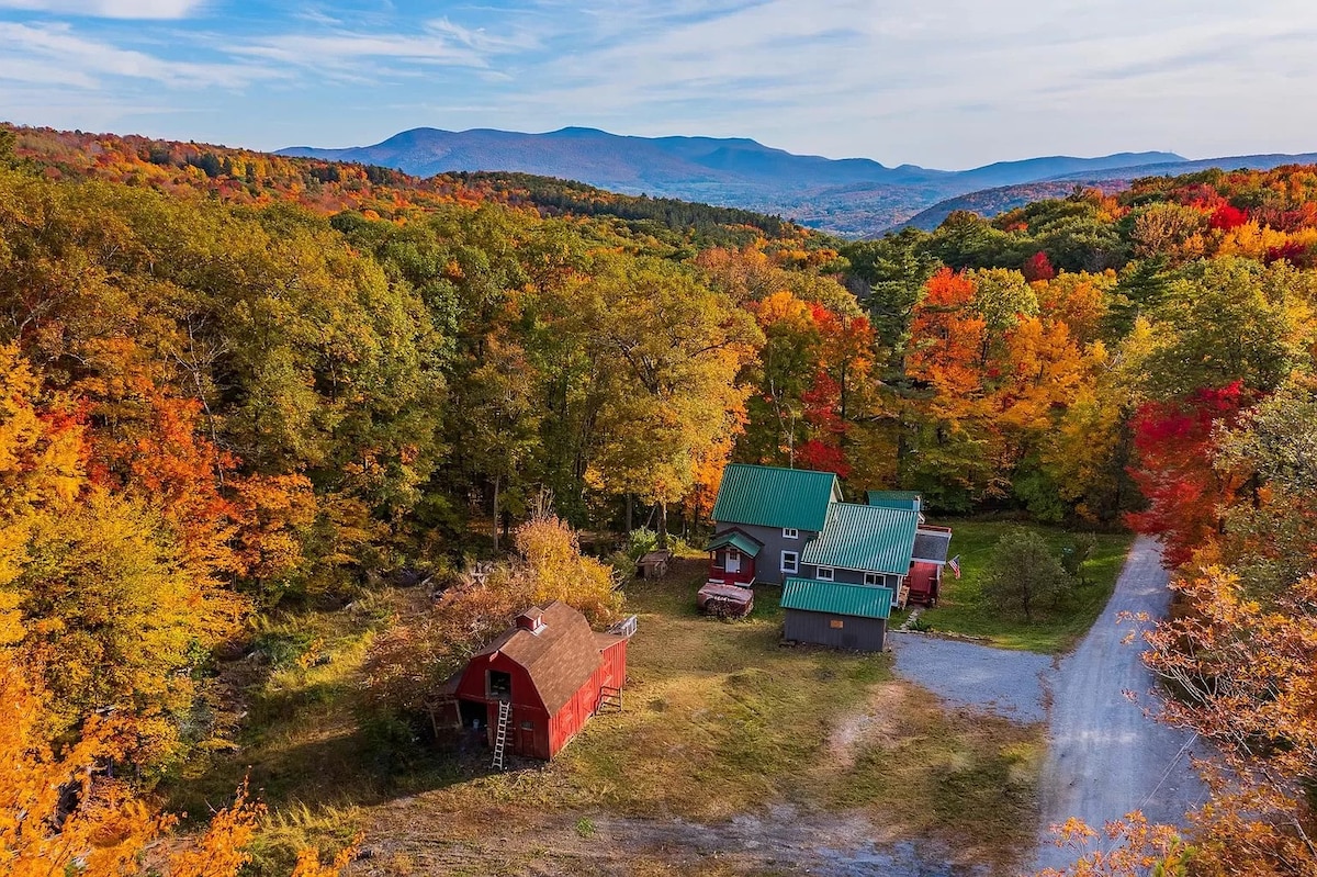Aerial view capturing a modern farmhouse cabin surrounded by vibrant autumn foliage. The landscape features a mix of lush trees in shades of orange, yellow, and green, with distant mountains visible under a clear blue sky. A dirt road borders the property.