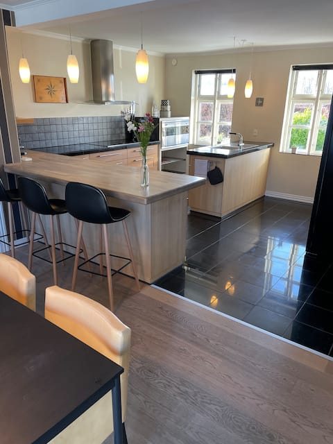 10+ person apartment near Billund