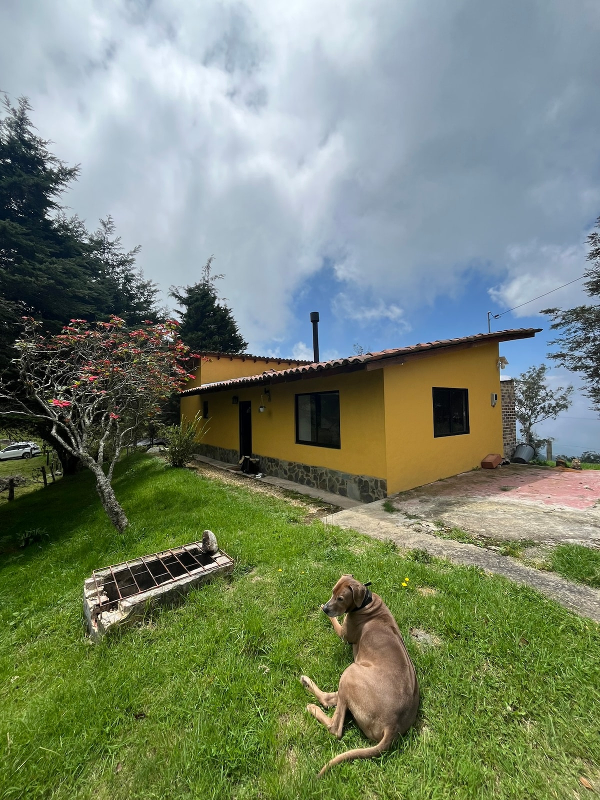 A country house is nestled in a green landscape under a cloudy sky. A large dog lies on the grass in the foreground, while the cabin, painted in a warm yellow hue, features a rustic chimney and large windows. Vibrant trees flank the property.