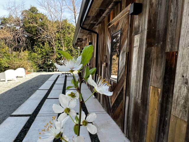 A Zen Retreat like in the heart of Silicon Valley gallery image 5