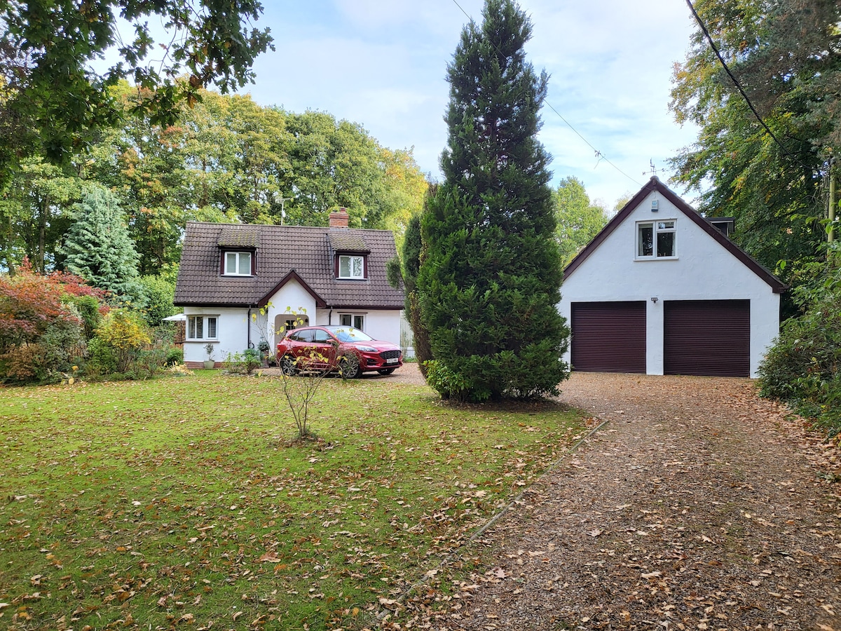 A spacious property is set within a well-kept garden, featuring a tree-lined driveway leading to a house and connected garage. The house has a traditional design with a tiled roof and large windows. Autumn leaves blanket the ground, enhancing the natural surroundings.