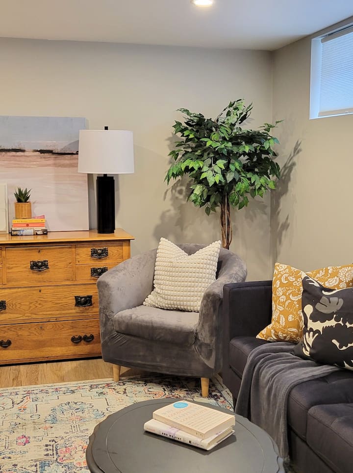 Beautiful Basement In South Burlington - Burlington