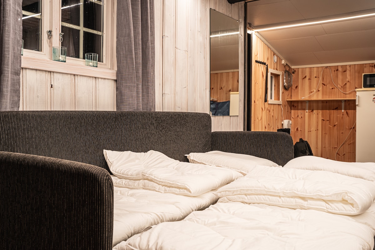 Sofá cama para 2 personas. 