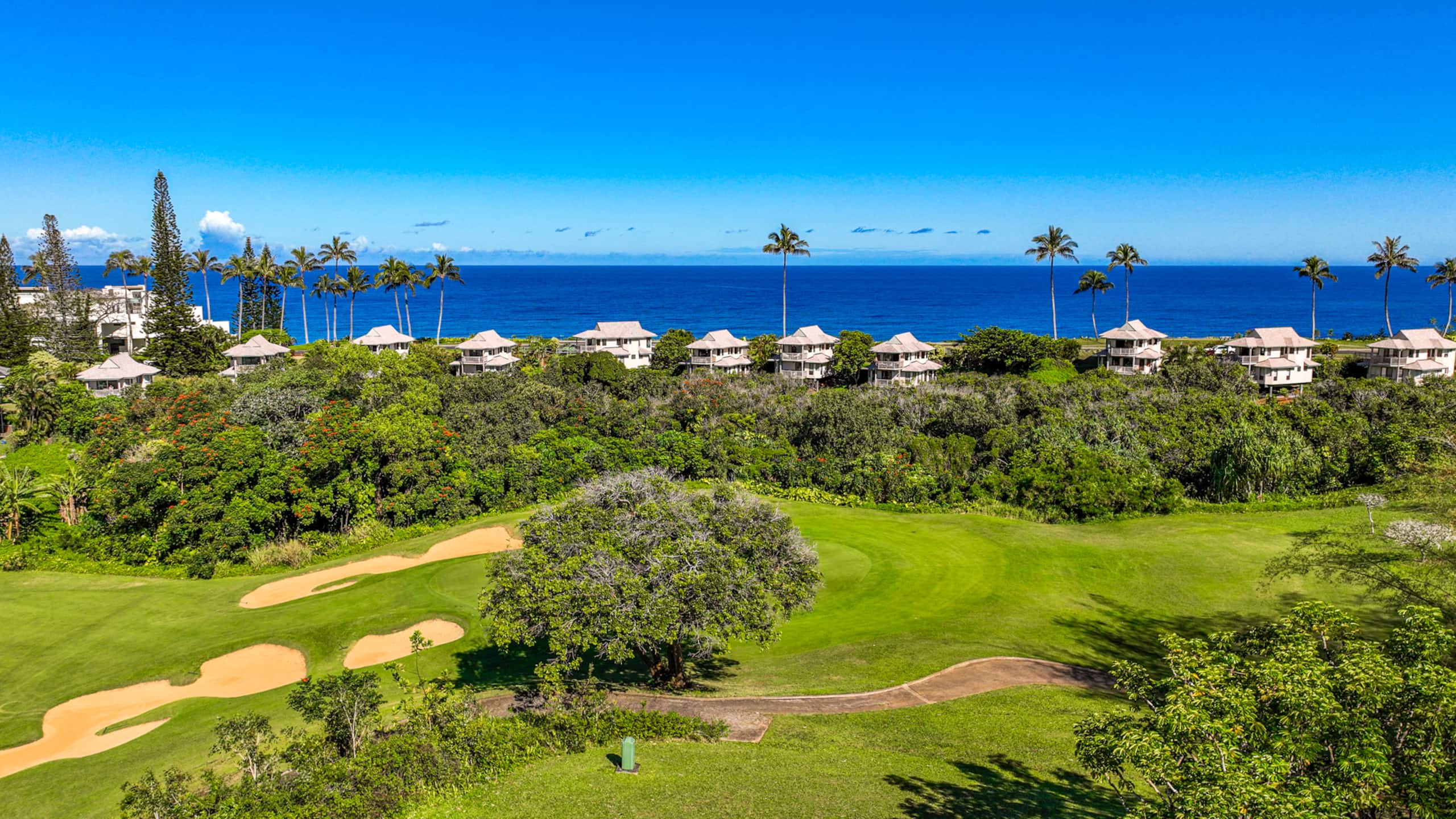 Home in Princeville · ★4.91 · 3 bedrooms · 3 beds · 2.5 baths - Image 36