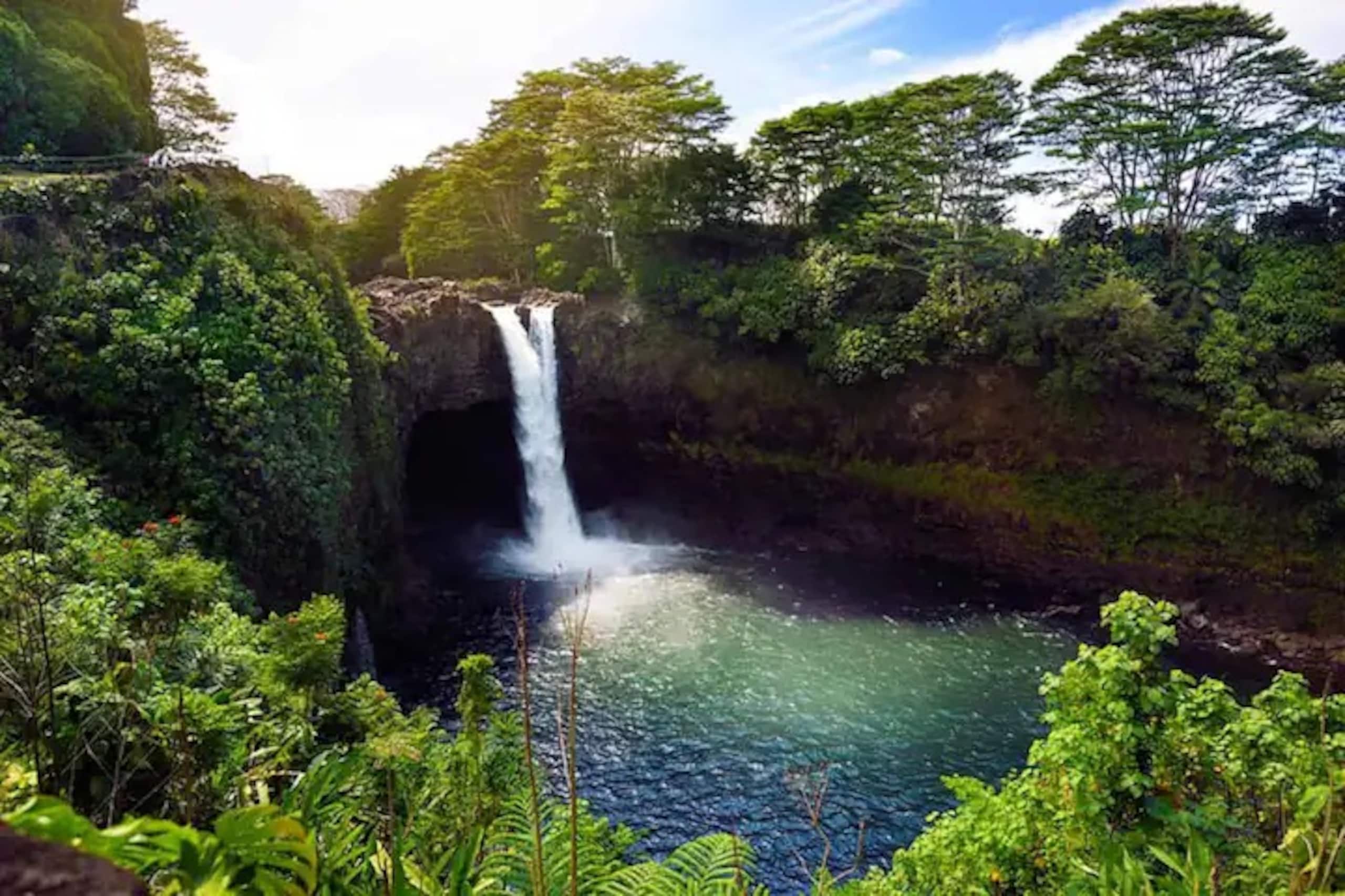 Home in Volcano · ★4.89 · 1 bedroom · 1 bed · 1 bath - Image 56