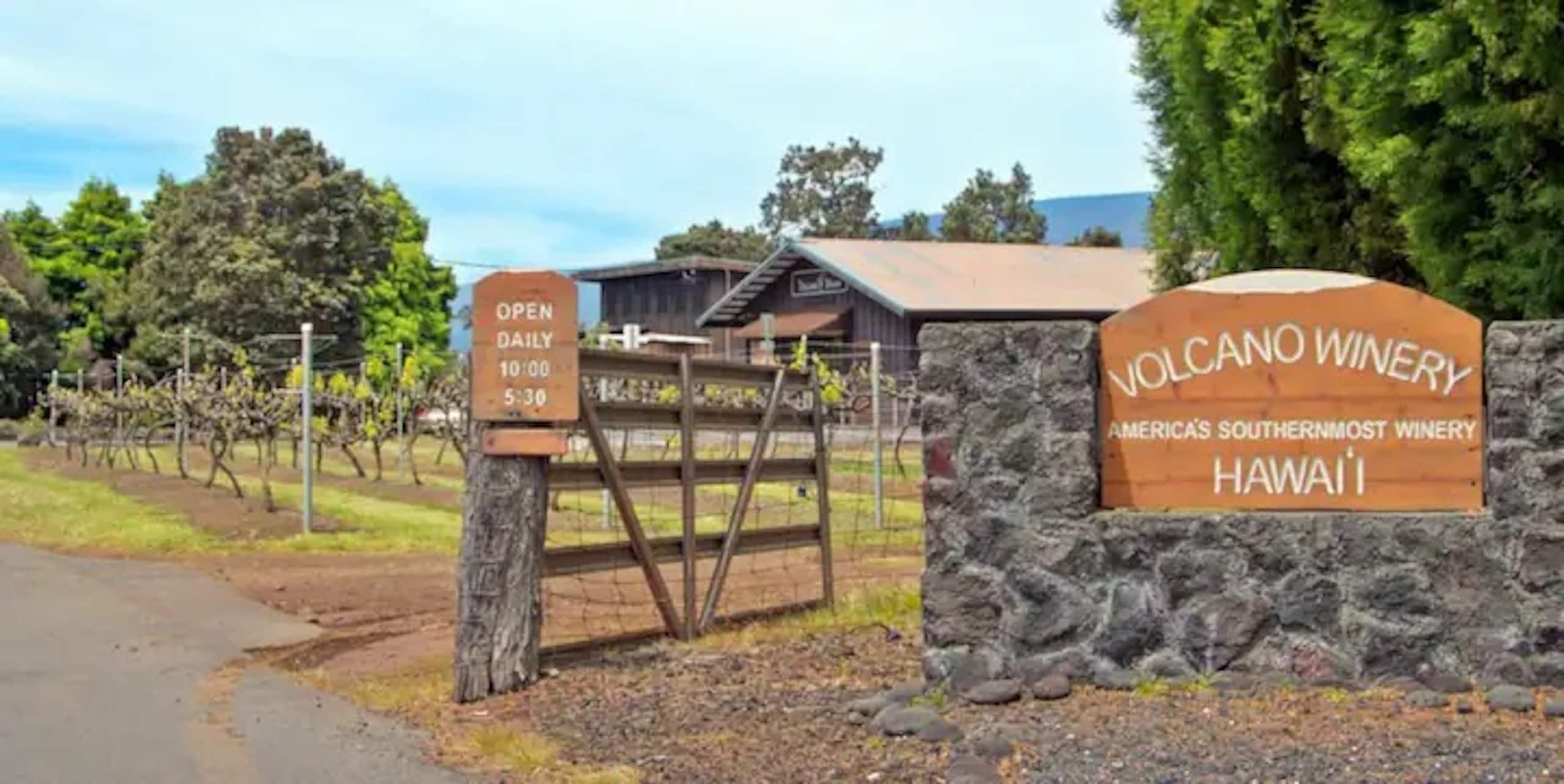 Home in Volcano · ★4.89 · 1 bedroom · 1 bed · 1 bath - Image 52
