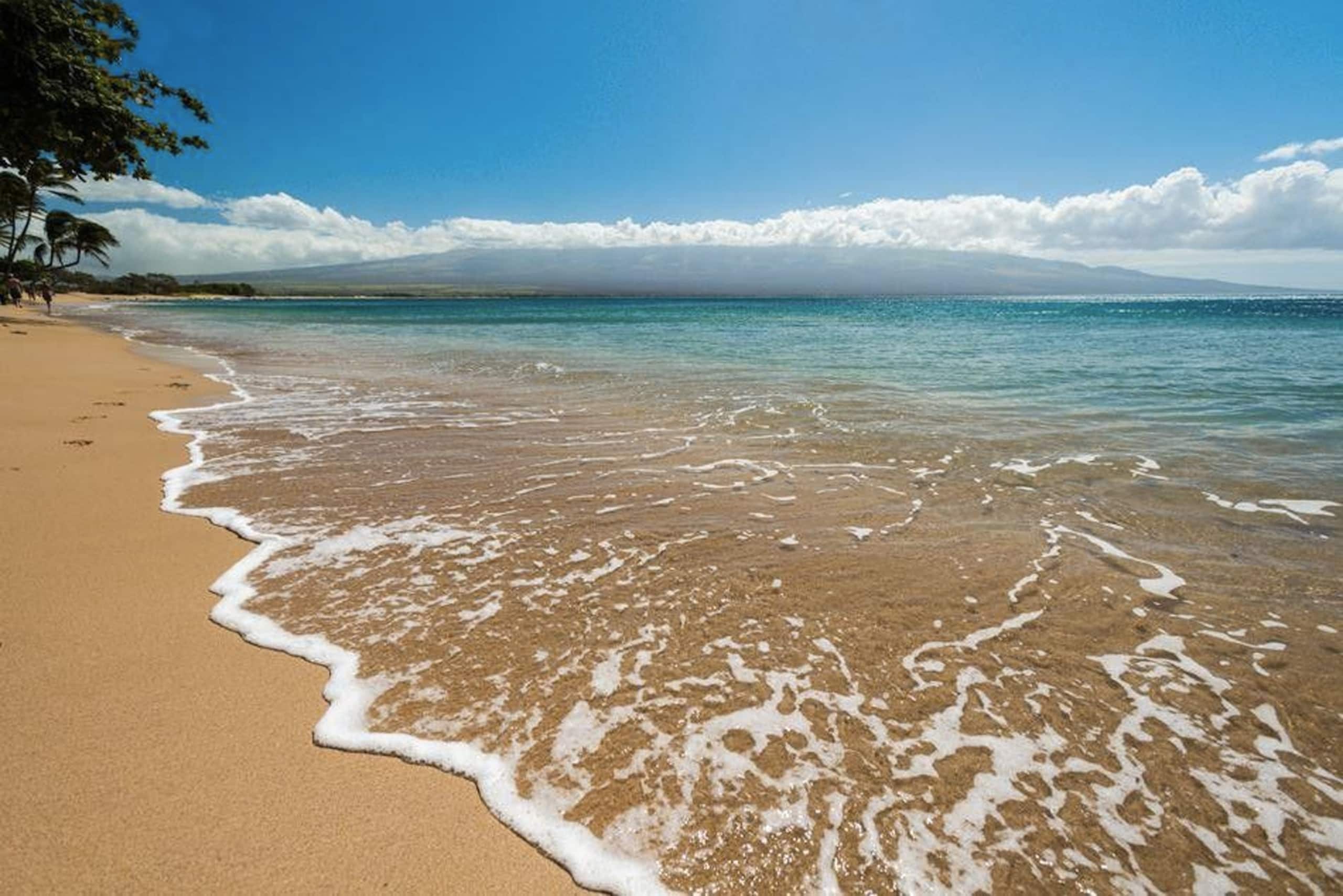Condo in Wailuku · ★4.89 · 2 bedrooms · 3 beds · 2 shared baths - Image 35