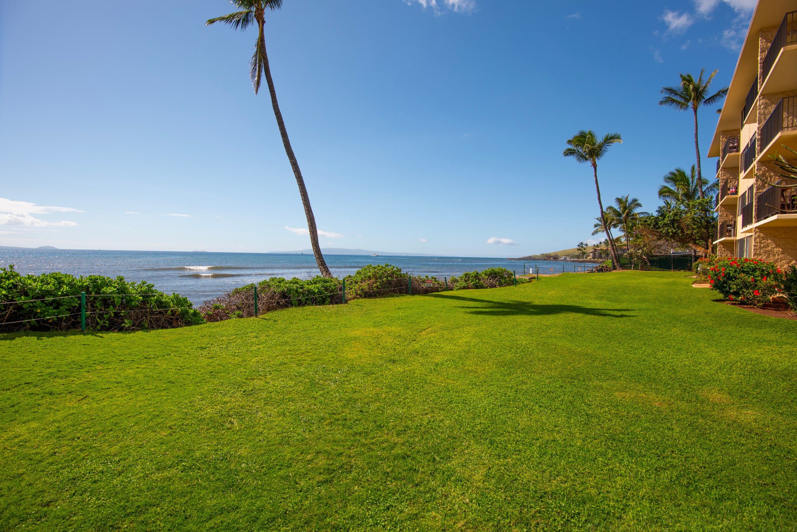 Condo in Wailuku · ★4.89 · 2 bedrooms · 3 beds · 2 shared baths - Image 39