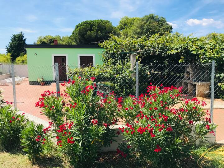 Villa Pinija - Pola