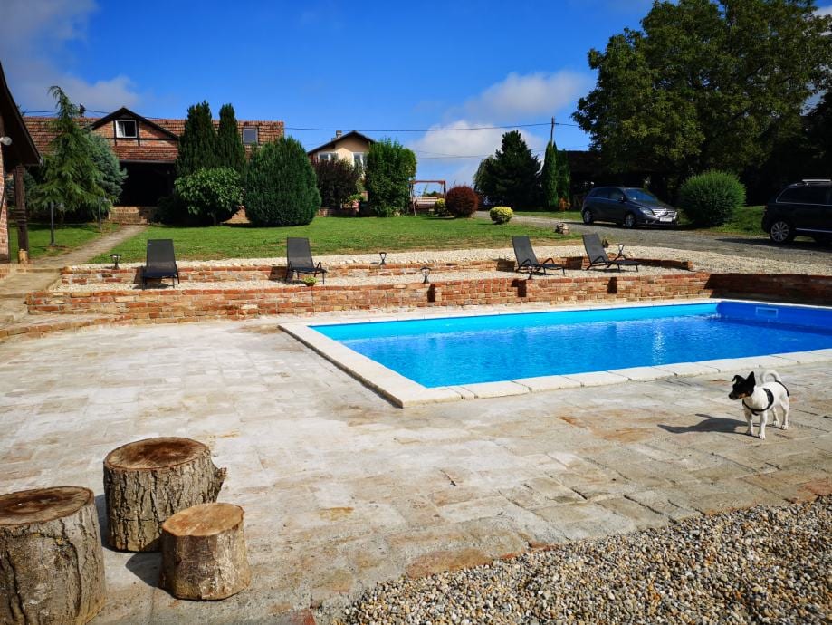 An outdoor area features a rectangular swimming pool surrounded by paved stones. Four lounge chairs are positioned nearby on the grass. A small dog is seen near the pool, with trees and a rustic building visible in the background.
