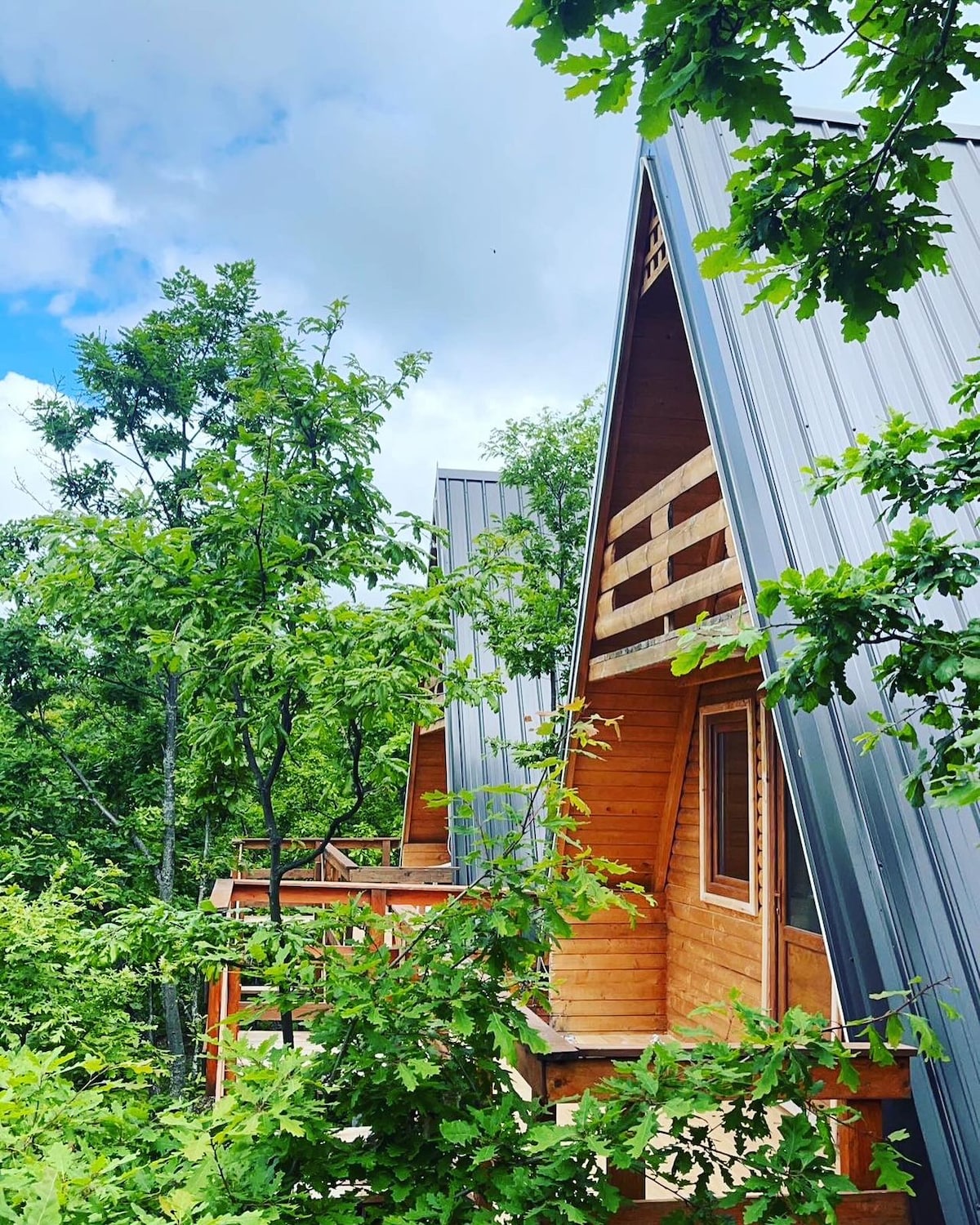 A row of modern cabins is partially obscured by lush green trees, creating a sense of privacy. The cabin exteriors feature a combination of wooden and metal materials, with slanted roofs and balconies framed by foliage. A bright sky complements the natural setting.