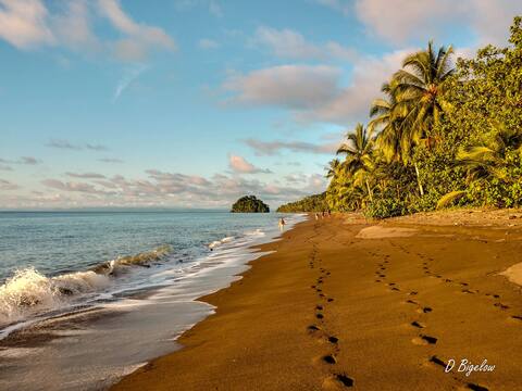 Beautiful House in the Jungle and near the Sea, Nuqui
