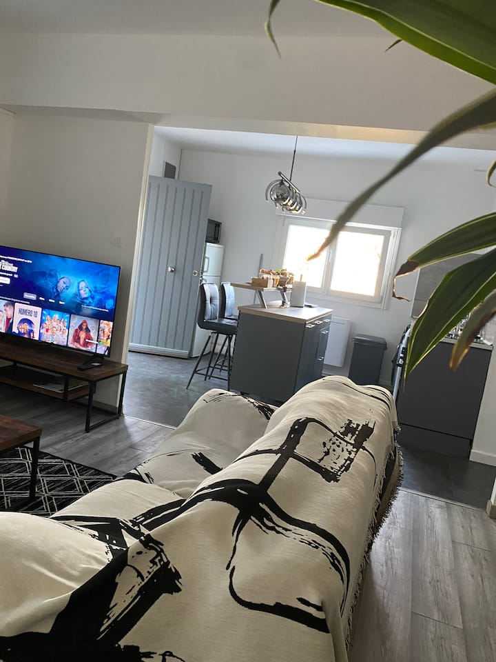 Spa Jardin Privé Logement Indépendant - 아비뇽