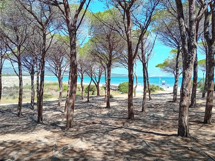 2br Apartment With Patio Near Budoni Beach - Budoni