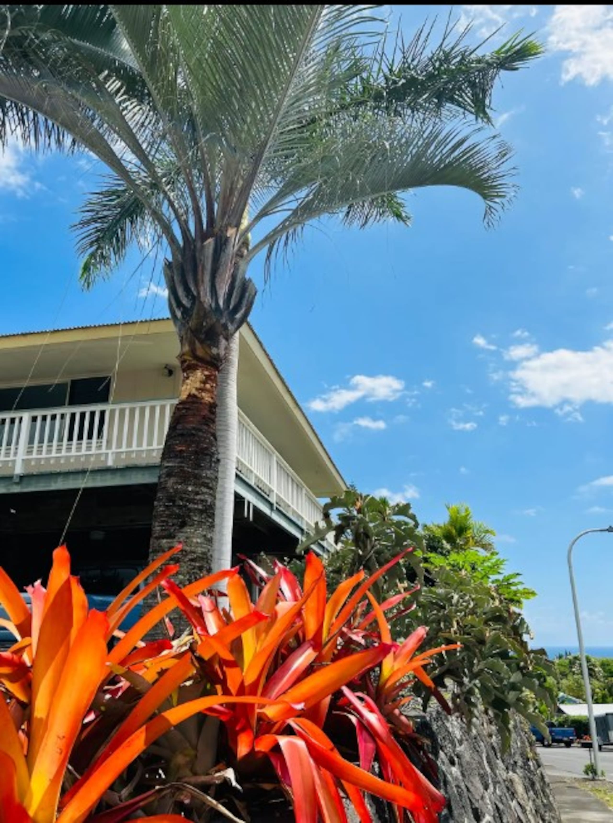 Townhouse in Kailua-Kona · ★4.92 · 1 bedroom · 1 bed · 1 private bath - Image 12