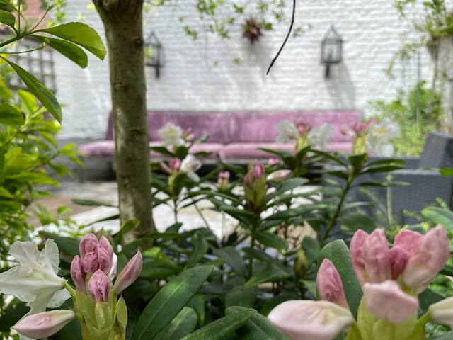 Maison Chic Châtelain gallery image 5