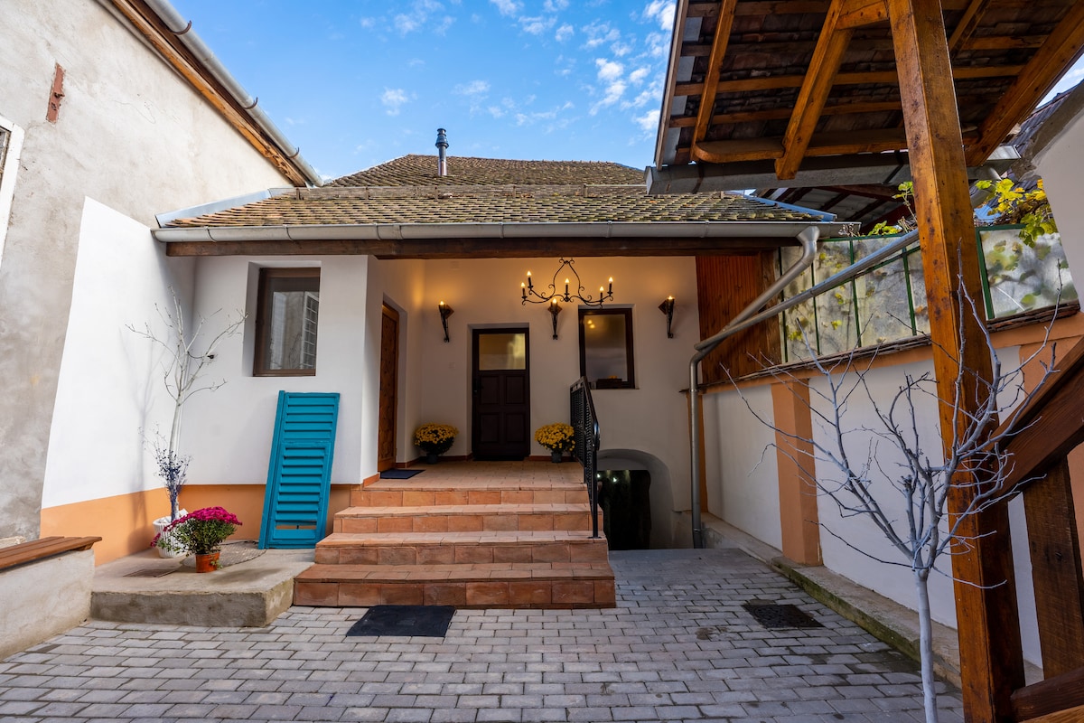 The entrance is framed by a stone pathway leading to the door, featuring a decorative chandelier above. The bright blue shutters contrast with the neutral exterior walls. Potted flowers in hues of yellow and purple add color beside the stairs, enhancing the welcoming atmosphere.