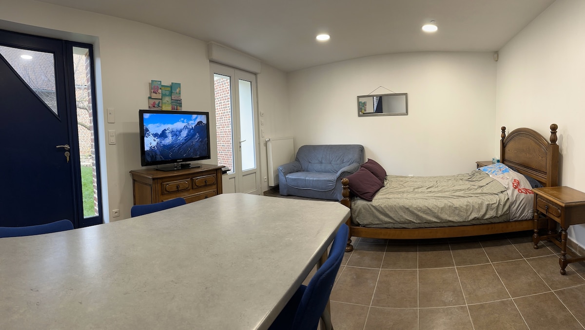 A spacious studio is presented featuring a double bed against a light-colored wall. A blue sofa is positioned nearby, while a large dining table is set for meals. A television is visible on a wooden stand, with a view of the garden seen through glass doors.