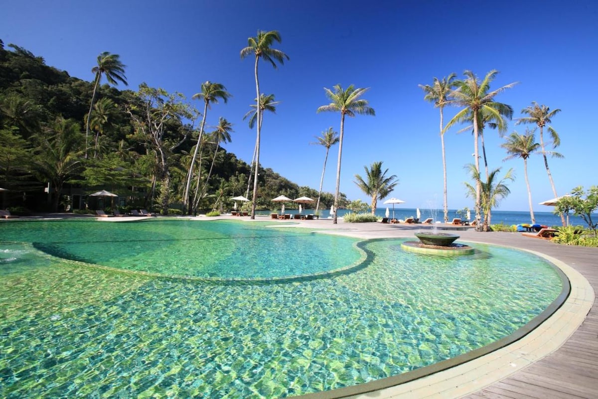 An inviting outdoor pool, shaped organically, is showcased surrounded by lush greenery and tall palm trees. Lounge chairs are arranged nearby, inviting relaxation, while the sea is visible in the distance under a clear blue sky.