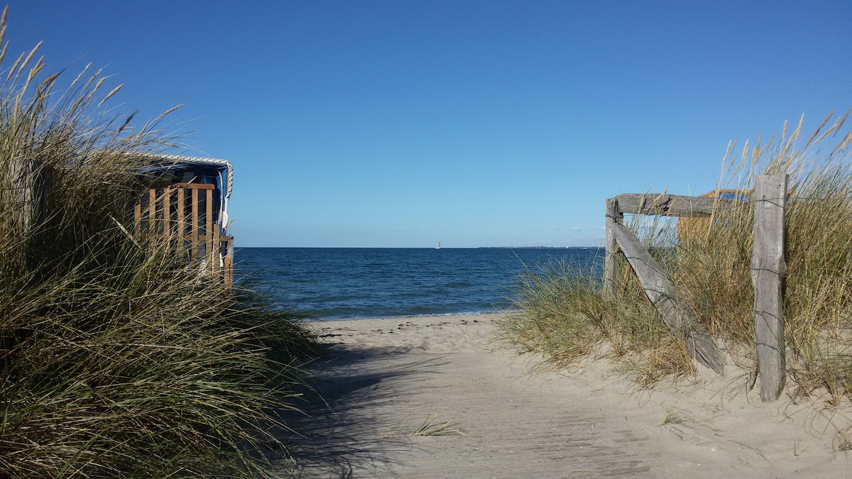 A sandy pathway leads to the shoreline, framed by tall grasses. In the background, a calm sea stretches toward the horizon under a clear blue sky. To the left, a wooden structure indicates shelter by the beach.