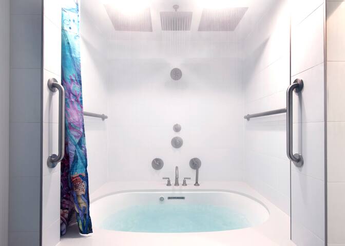 Jetted Tub, King, Steam Rm, Museum, Zoo, City Park gallery image 4