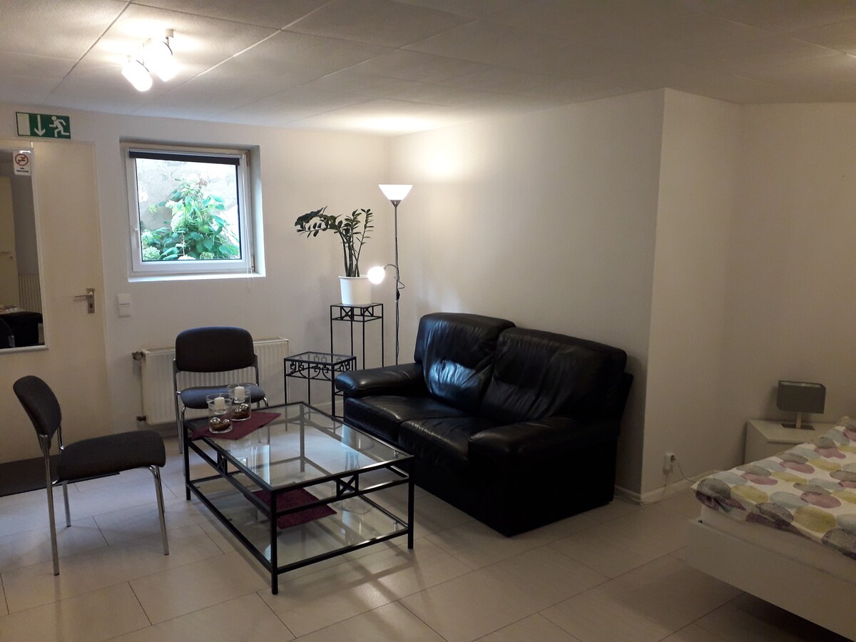 A spacious living area features a dark leather sofa opposite a glass coffee table. Two chairs are positioned nearby. A lamp illuminates the room, while a window with a view of greenery allows natural light to enter. A cozy sleeping area is also visible.