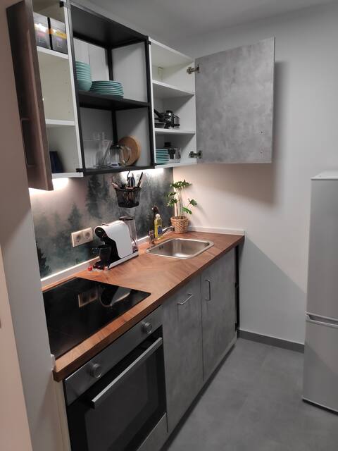 NEWLY renovated modern studio in the center