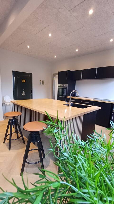 Unique and luxurious apartment in Aalborg City