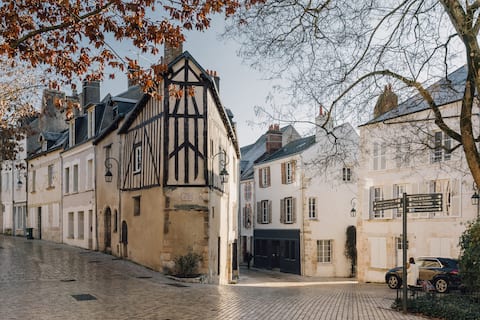 Entire 7 bedroom house, city center