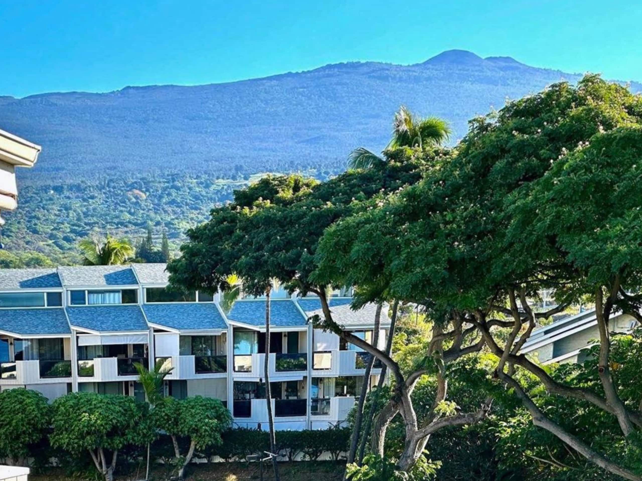 Condo in Kailua-Kona · ★4.98 · 2 bedrooms · 2 beds · 2 shared baths - Image 38