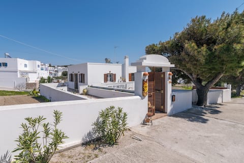 Triovasalos House