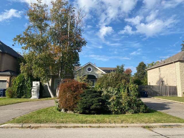 Dream House in North York/6 bedrooms/6 parkings gallery image 2