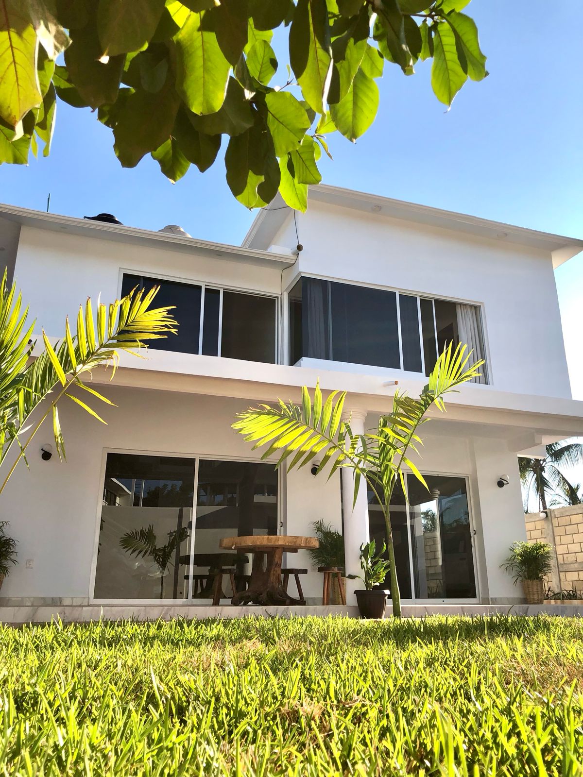 The exterior of the house is presented with a bright façade and large glass doors, allowing natural light to illuminate the interior. Lush green grass surrounds a wooden table, complemented by nearby potted plants and tropical foliage, creating a serene outdoor space.