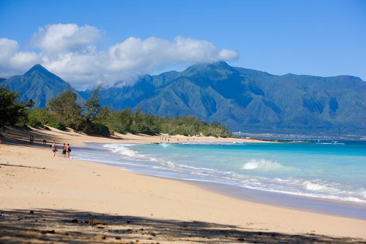 Romantic Beach Villa with Private Pool & Courtyard gallery image 5