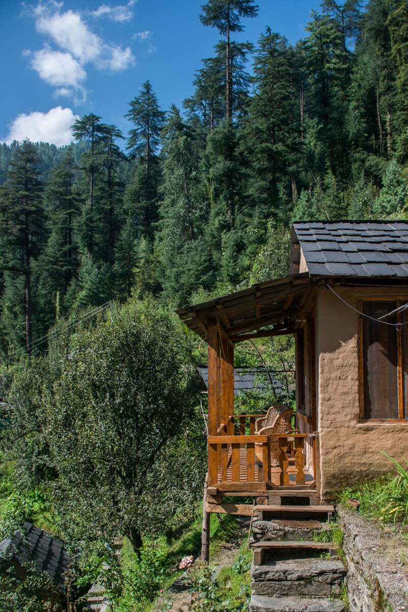 A cozy cottage exterior is set against a backdrop of lush green forest. Wooden details feature prominently, with a small porch that includes seating, providing an inviting space to enjoy nature. The stone steps lead down to the vibrant greenery surrounding the property.