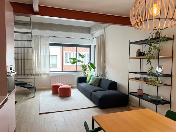 Unique design triplex with rooftop terrace