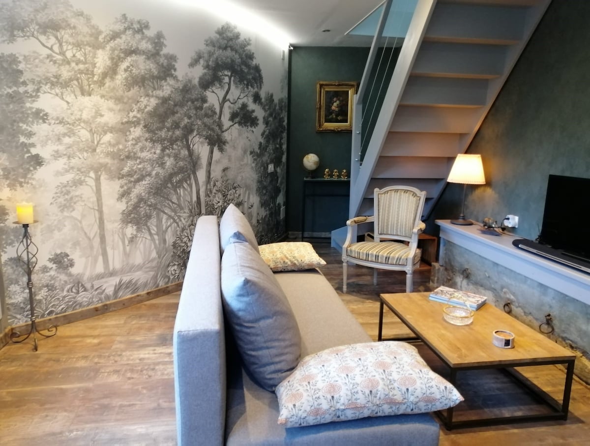 Proprietà Airbnb di successo: Gîte des vignes a Sedan